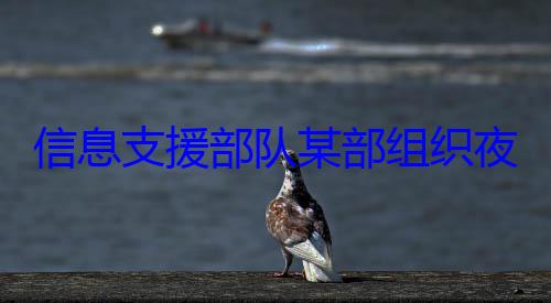 信息支援部队某部组织练图夜间修理训