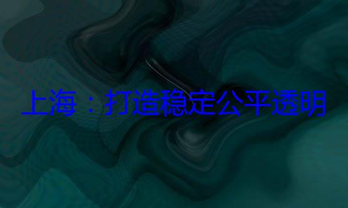 明的营商环上海打造稳定公平透境